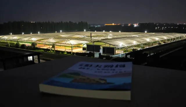 市场波动：礼品采购的选品建议与趋势分析