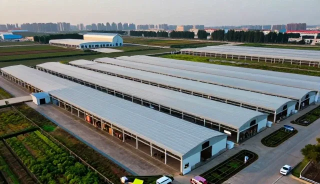 礼品采购服务中的商品维护与使用技巧