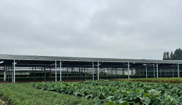 商品采购中选品建议的五大检查要点